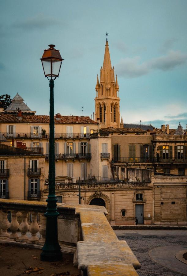 Appartement Cosy - Elegance & Calme En Hyper-centre *